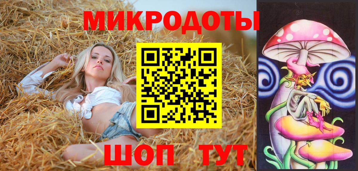 как найти   Вход с VPN  Кировск  Псилоцибиновые грибы прущие грибы  Псилоцибиновые грибы GOLDEN TEACHER 