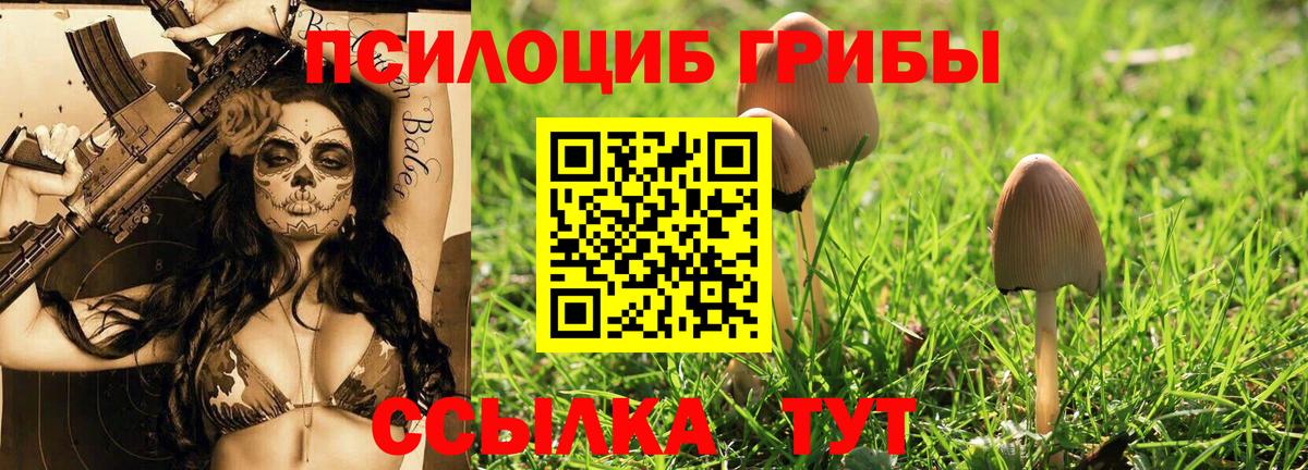Псилоцибиновые грибы ЛСД Кировск